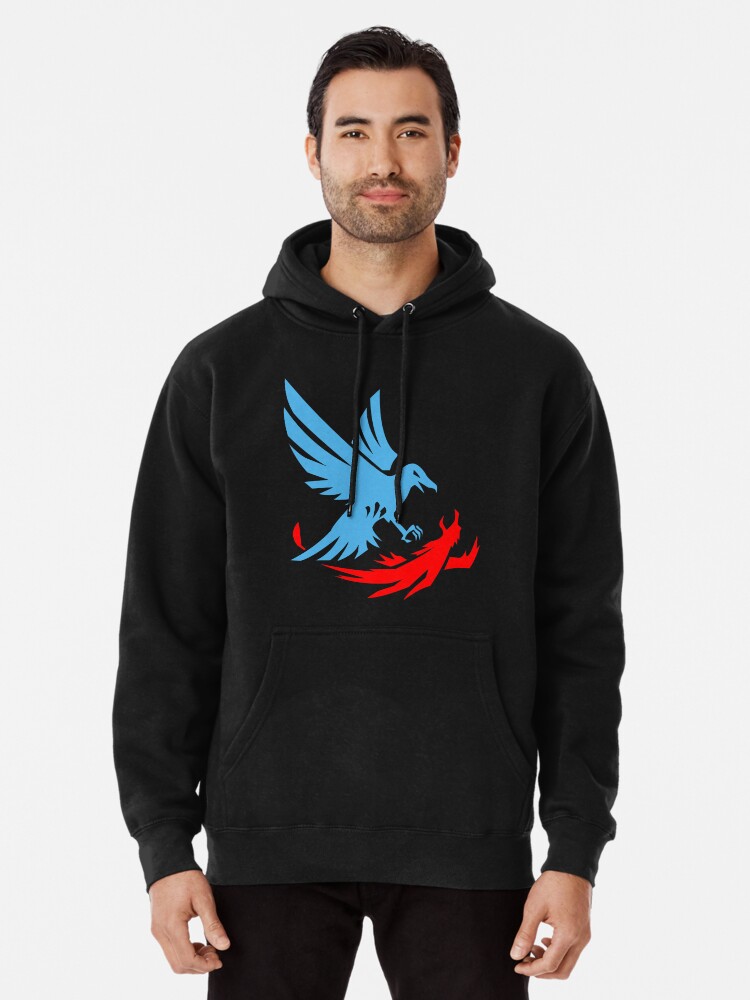 hoodie champion second