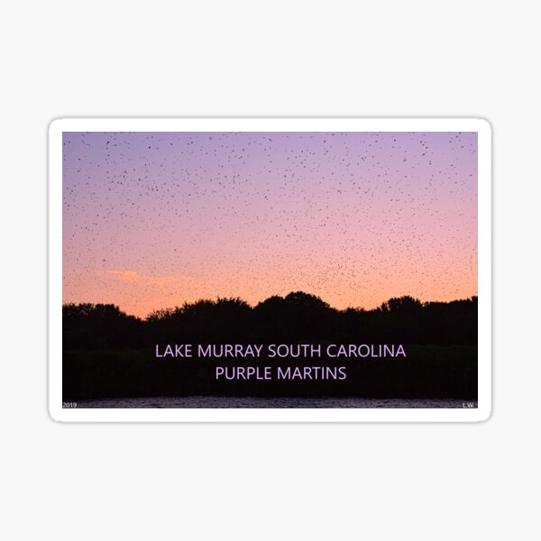 Item preview, Lake Murray South Carolina Purple Martins designed and sold by LisaWootenPhoto.