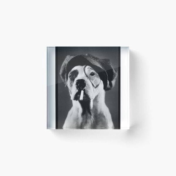 Item preview, Petey Mugshot  designed and sold by PITBULLEE.