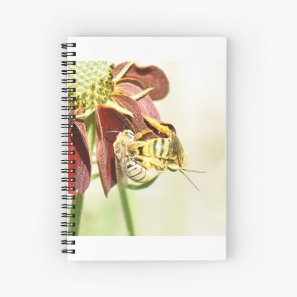 Bees are Important Spiral Notebook