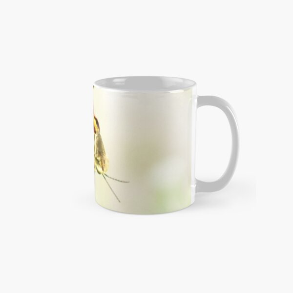 Bees are Important Classic Mug