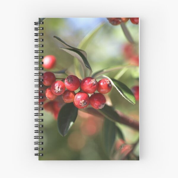 Item preview, Berry Delight designed and sold by Joy Watson - Natural Light Photography .