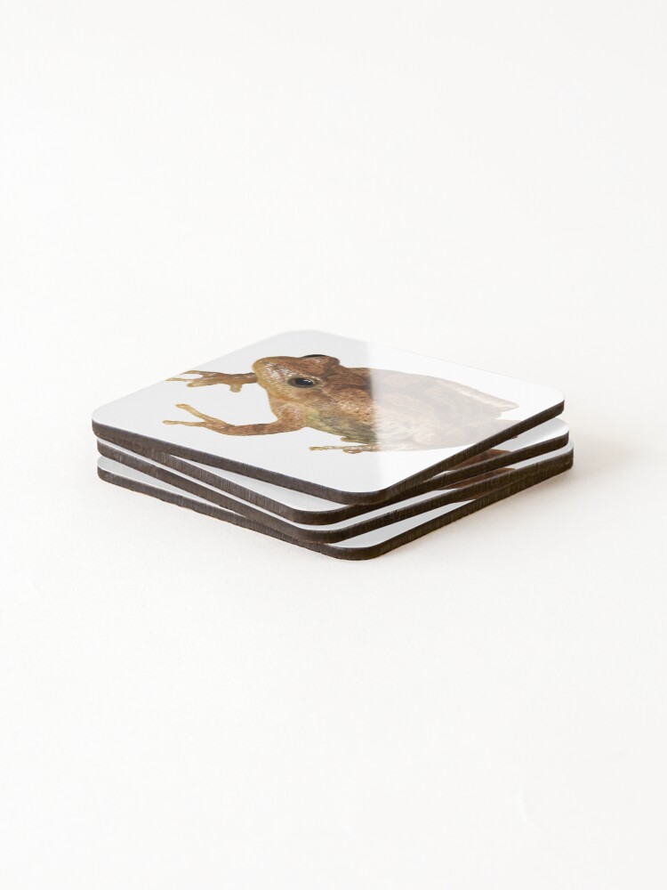 Thumbnail 4 of 5, Coasters (Set of 4), Spring Peeper designed and sold by carterbrown.