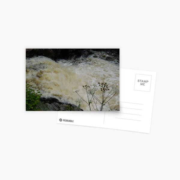 Adrenaline Rush Postcard