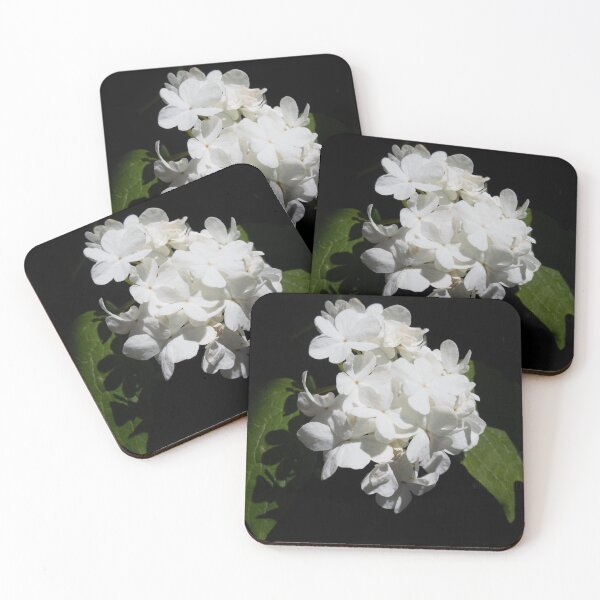 Item preview, Blooming designed and sold by Lauren Hemphill.