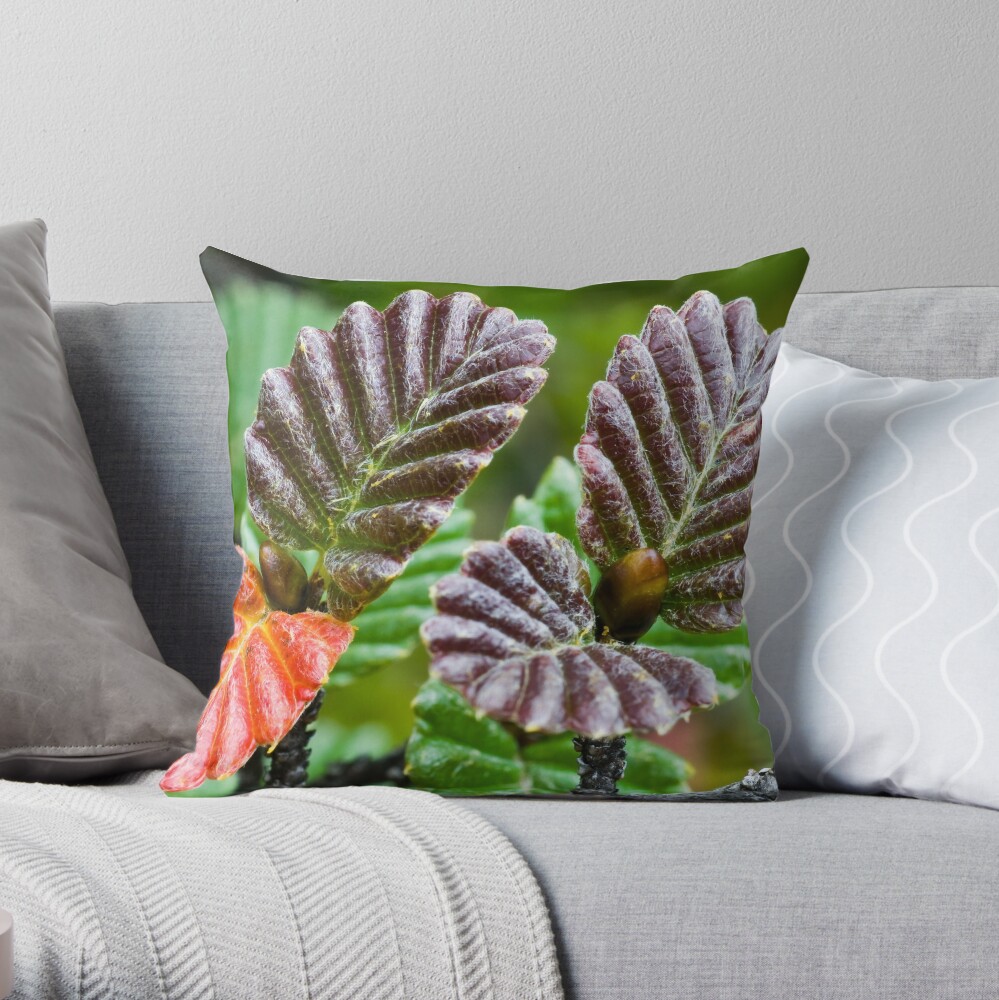 Early Fagus Throw Pillow