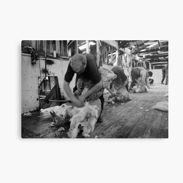 The Team at Work Metal Print