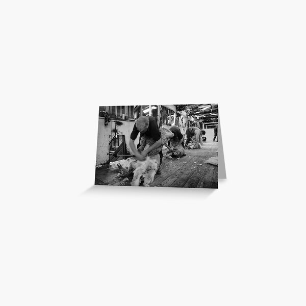 The Team at Work Greeting Card
