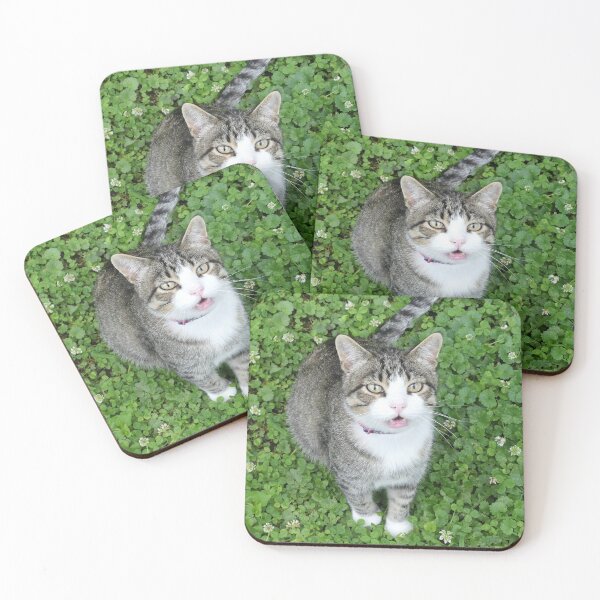Item preview, Cat in Clover designed and sold by Frankie Cat Photography.