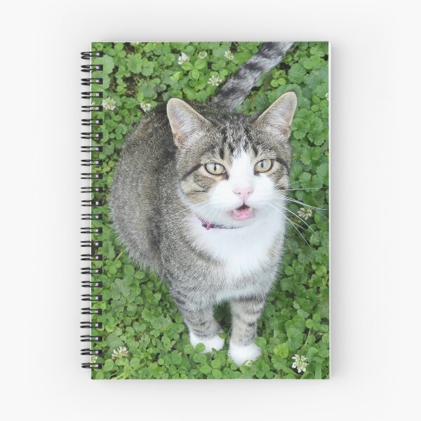 Item preview, Cat in Clover designed and sold by Frankie Cat Photography.