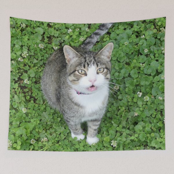 Item preview, Cat in Clover designed and sold by Frankie Cat Photography.
