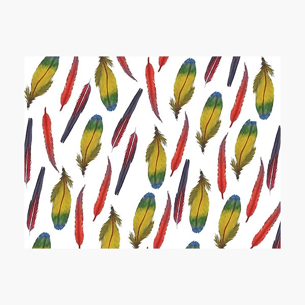 Macaw Feather Print  Photographic Print