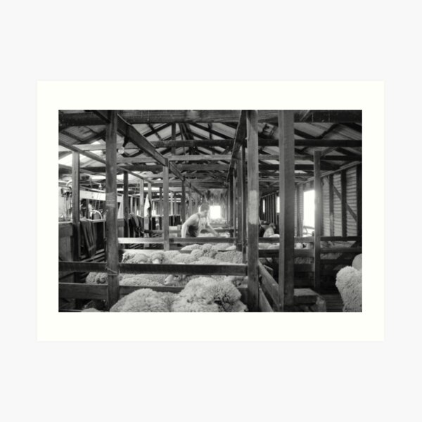 Shearing Shed Lismore Vic Day 1. Art Print