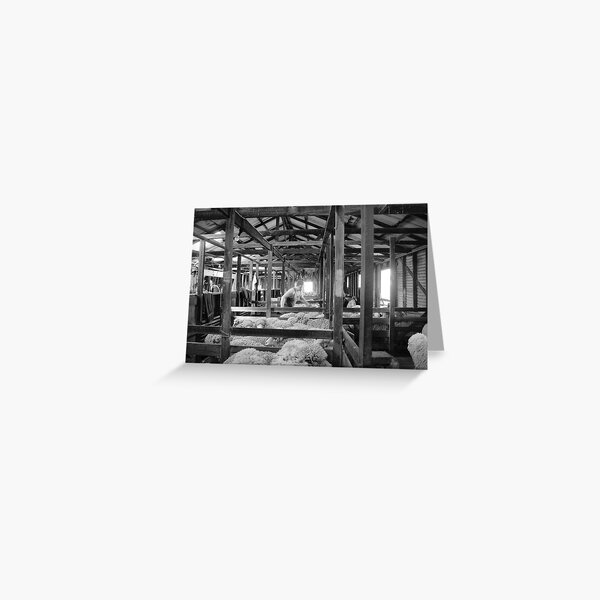 Shearing Shed Lismore Vic Day 1. Greeting Card