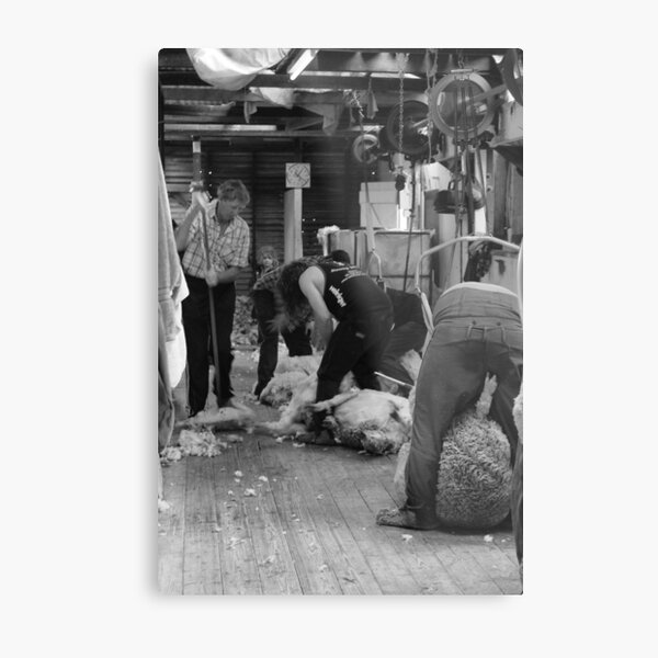 Away We Go Metal Print