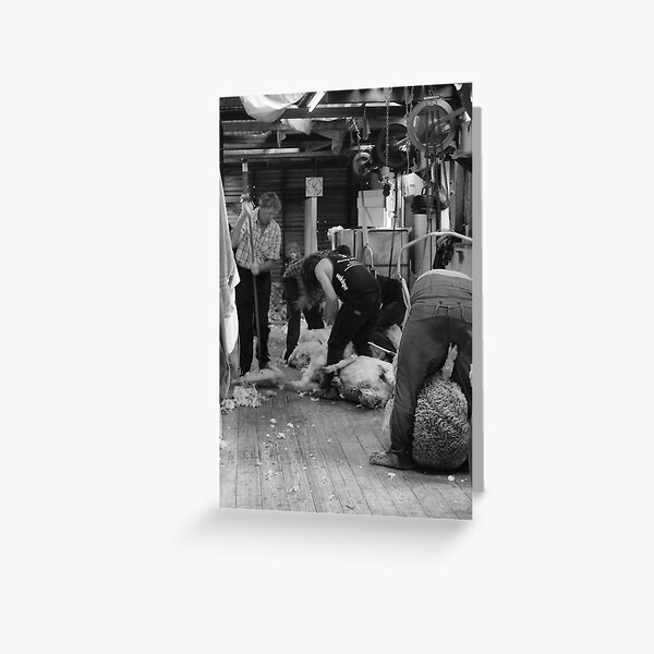 Away We Go Greeting Card