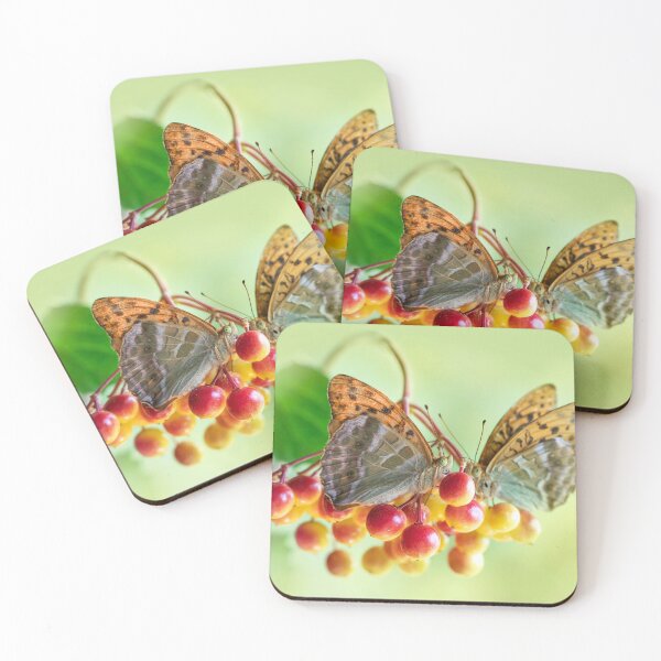 Item preview, Duet designed and sold by JBlaminsky.