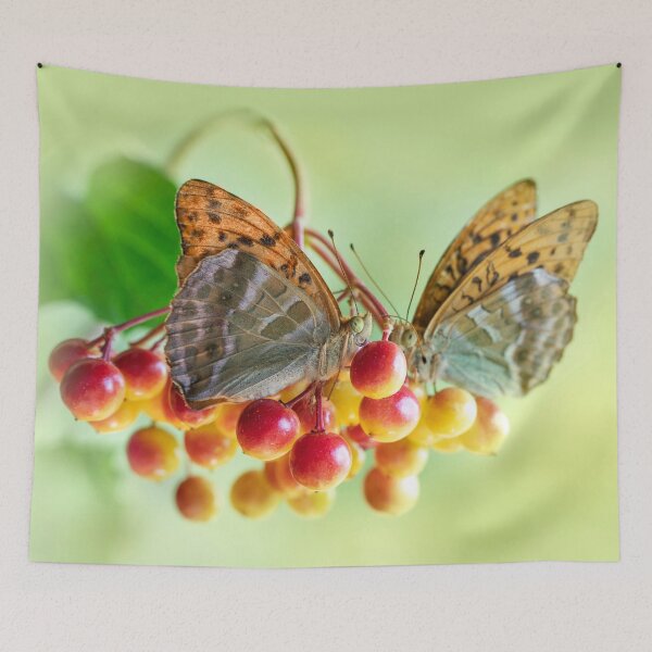 Item preview, Duet designed and sold by JBlaminsky.