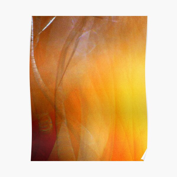 Autumn Fog Poster