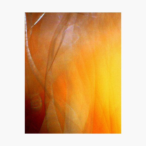 Autumn Fog Photographic Print