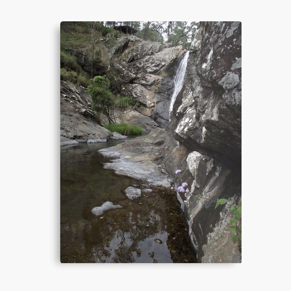 creek beauty Metal Print