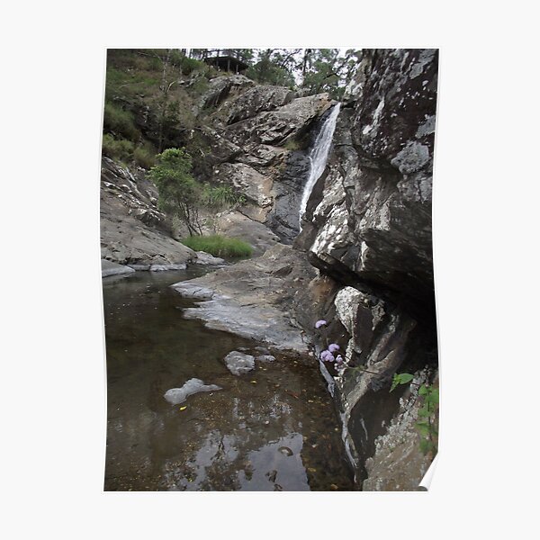 creek beauty Poster