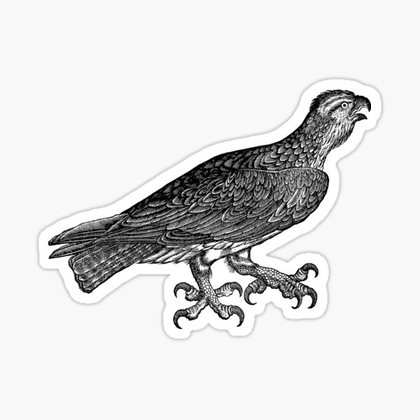 Item preview, Adler Vogel designed and sold by rice-shirts.