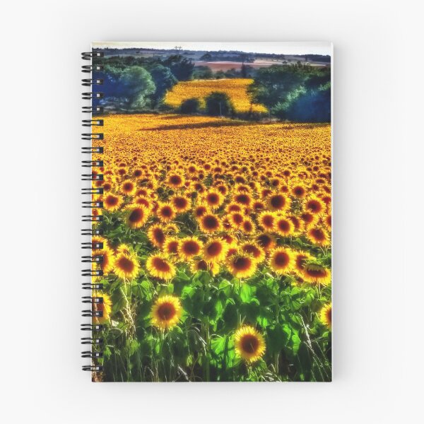 Item preview, Sunflowers 19 designed and sold by dbdorristhemorris.
