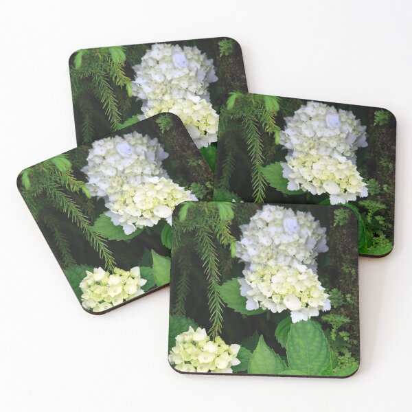 Item preview, Hydrangea blooming designed and sold by Gaspar Avila.