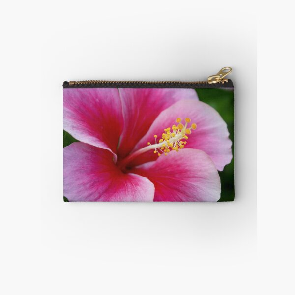 Item preview, Pink Hibiscus designed and sold by Rachel Stickney.