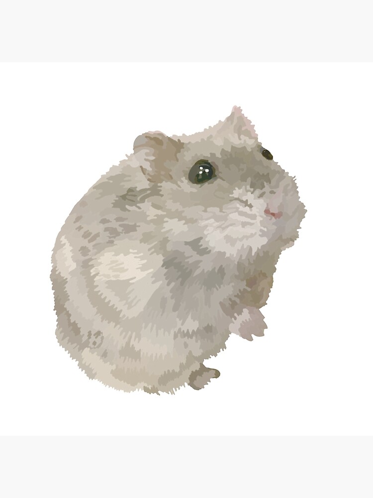 cinnamon dwarf hamster