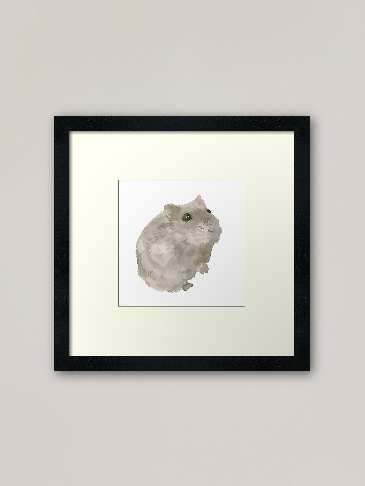 cinnamon dwarf hamster