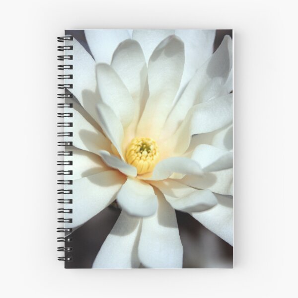 Item preview, Star Magnolia designed and sold by Rachel Stickney.
