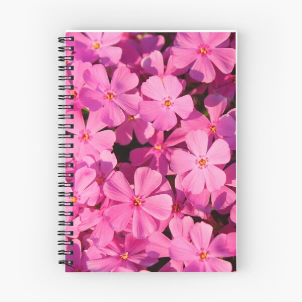 Item preview, Creeping Phlox designed and sold by Rachel Stickney.