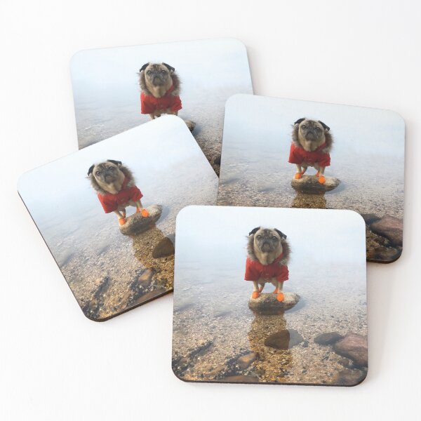 Item preview, Pug Stranded - Requsts That You Send Treats designed and sold by pugventurephoto.