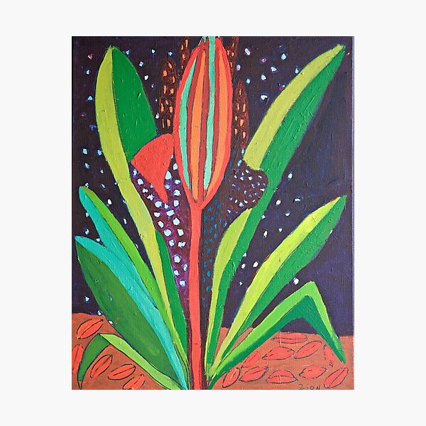 Cosmic Flower Zion Levy Stewart Zion Art Mullumbimby Photographic Print