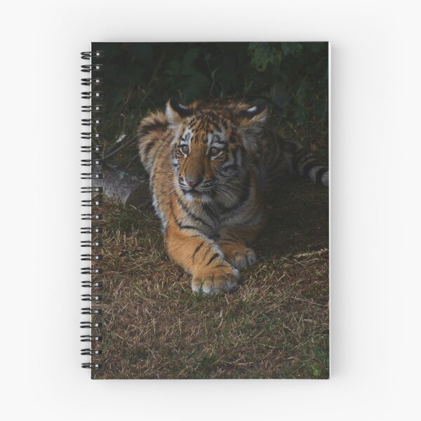 Item preview, Tiger Cub designed and sold by waylander99uk.