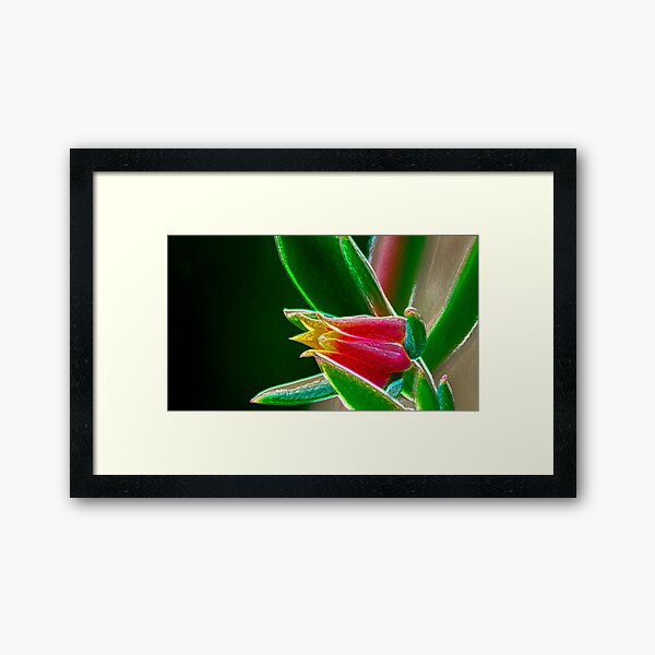 Item preview, ©DA NS Metalic Blossom V2. designed and sold by OmarHernandez.