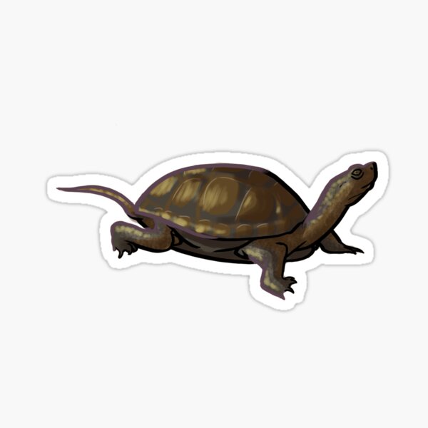 Item preview, Western Pond Turtle designed and sold by Elaine T.