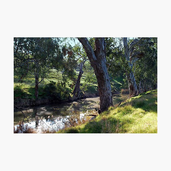 Item preview, Trees along the Riverbank designed and sold by Lorraine McCarthy.
