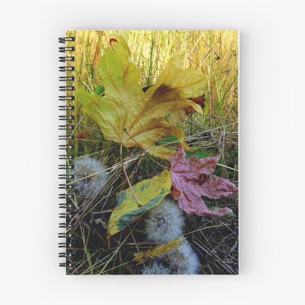 Item preview, Autumn Glow designed and sold by Elaine Bawden.