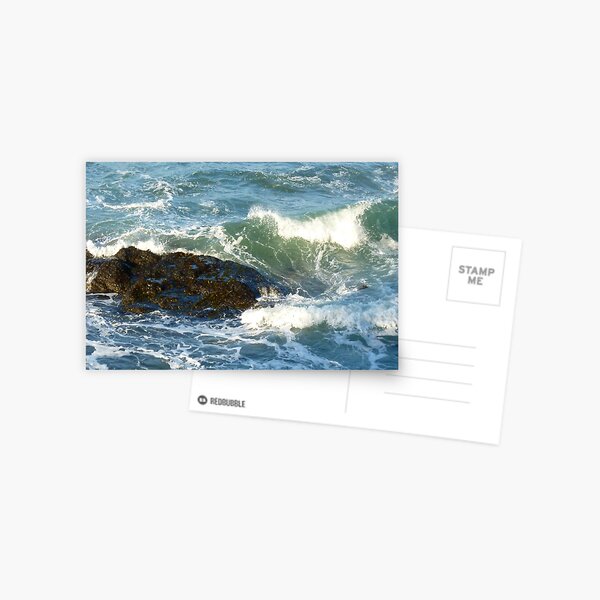 Item preview, Late afternoon light from Tongue Point designed and sold by Elaine Bawden.