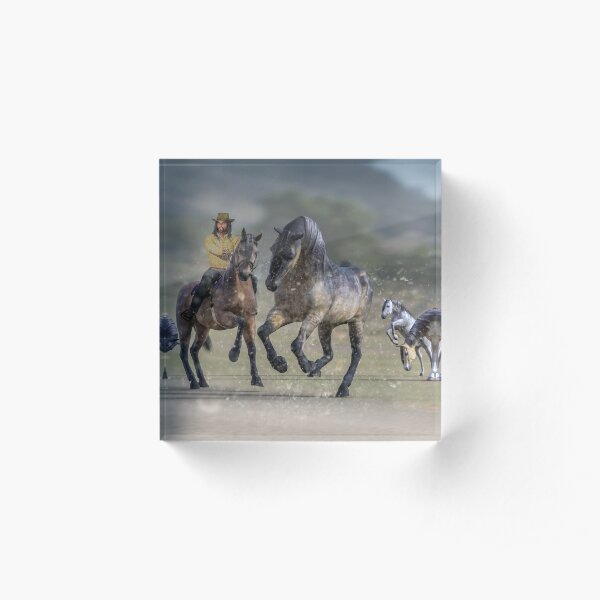Rider and Horses Acrylic Block