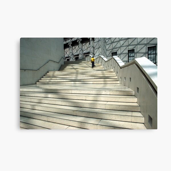 Scale and Steps Canvas Print