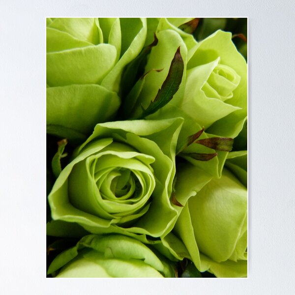 Item preview, an Interesting Shade designed and sold by elsha.