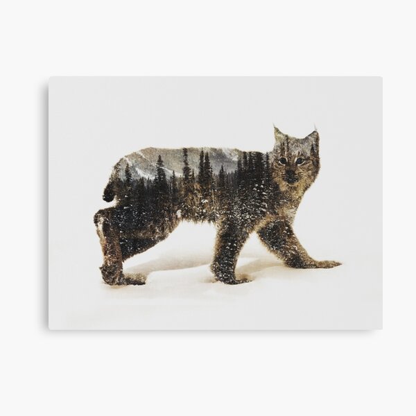 Arctic Lynx Canvas Print