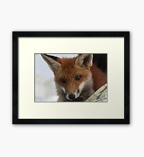 Pancake ....... Framed Print