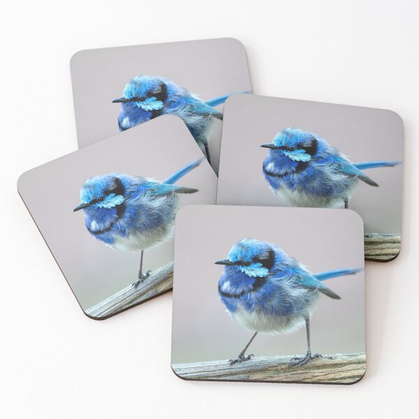 Item preview, Pretty Blue Wren designed and sold by Ladyshark.