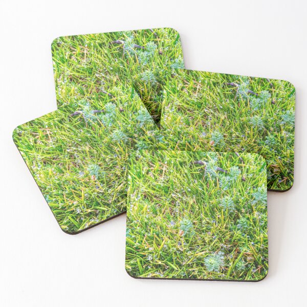 Artikelvorschau, Versteckte Regentropfen & Green Grass Version 2 entworfen und verkauft von BennEmm.