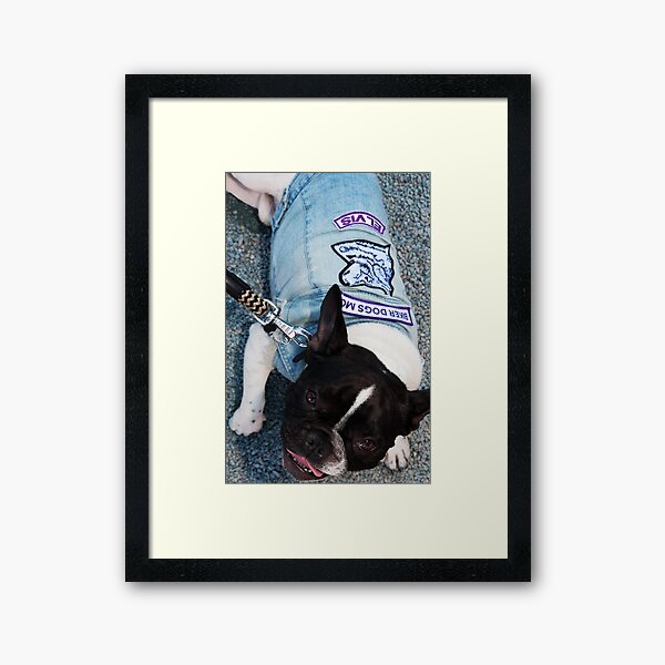 Elvis Framed Art Print